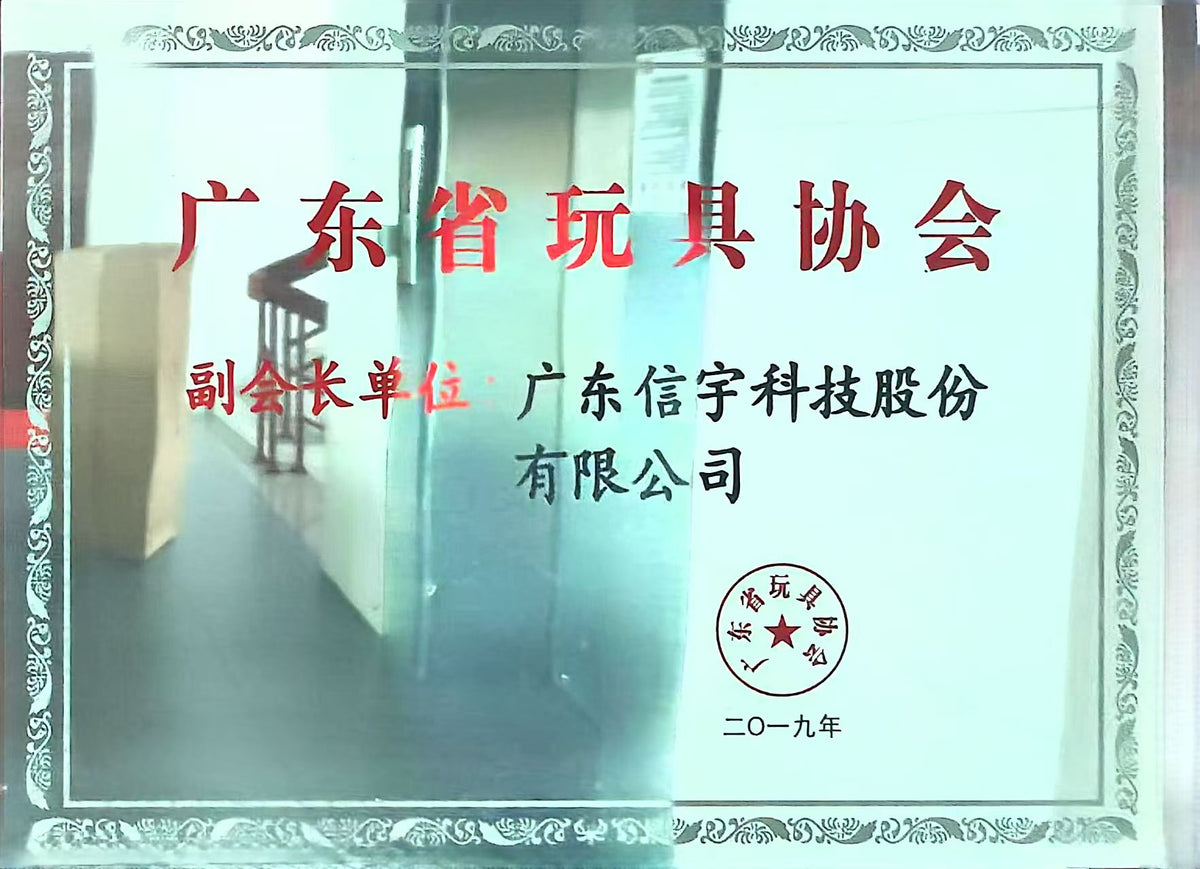 Vice President Member of the Guangdong Toy Association