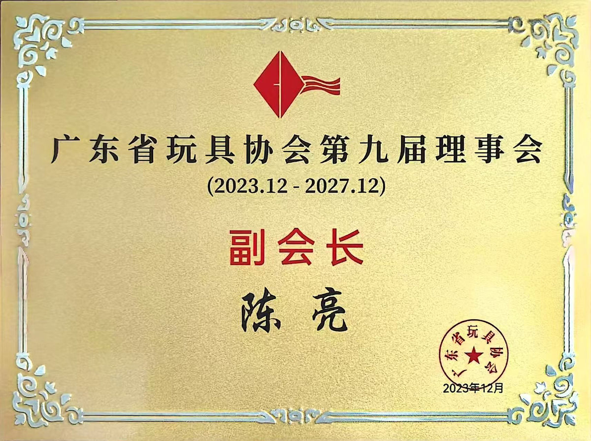Vice President, Ninth Council of the Guangdong Toy Association