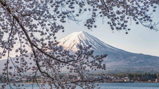 Japan